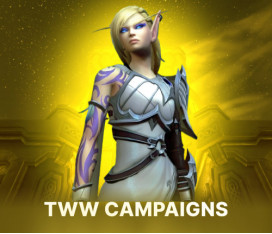 THE WAR WITHIN CAMPAIGN