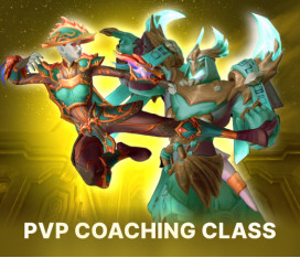 Hourly PVP Coaching