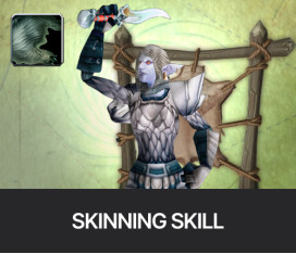 WOW CLASSIC ERA SKINNING