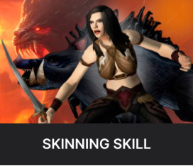 WOW CLASSIC HARDCORE SKINNING