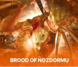 BROOD OF NOZDORMU REPUTATION | WoW CLASSIC SoD