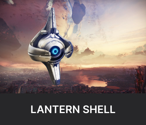 Lantern Shell