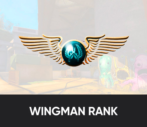 CS2 Wingman Rank