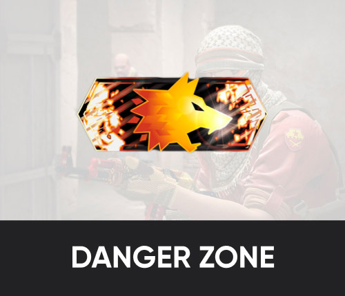 Counter Strike 2 Danger Zone Rank