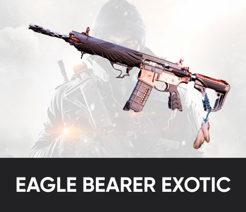 Eagle Bearer Exotic AR