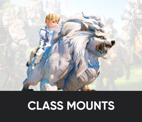 Class Mounts