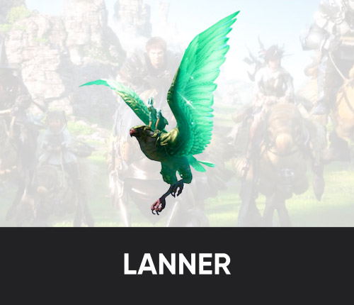 Lanner Mount