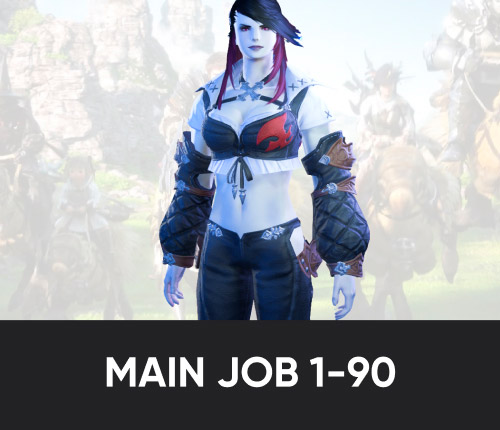 FFXIV Main Job Leveling 1-90