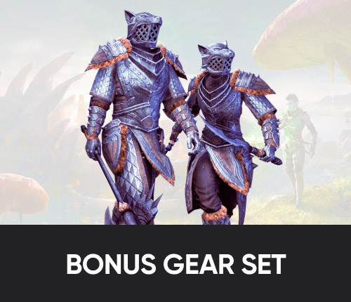 TESO 78% or 86% XP Bonus Training Gear Set