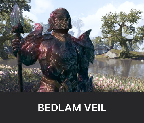Bedlam Veil Dungeon