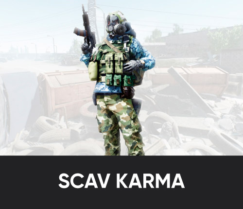 Scav Karma Boost | $3/hour